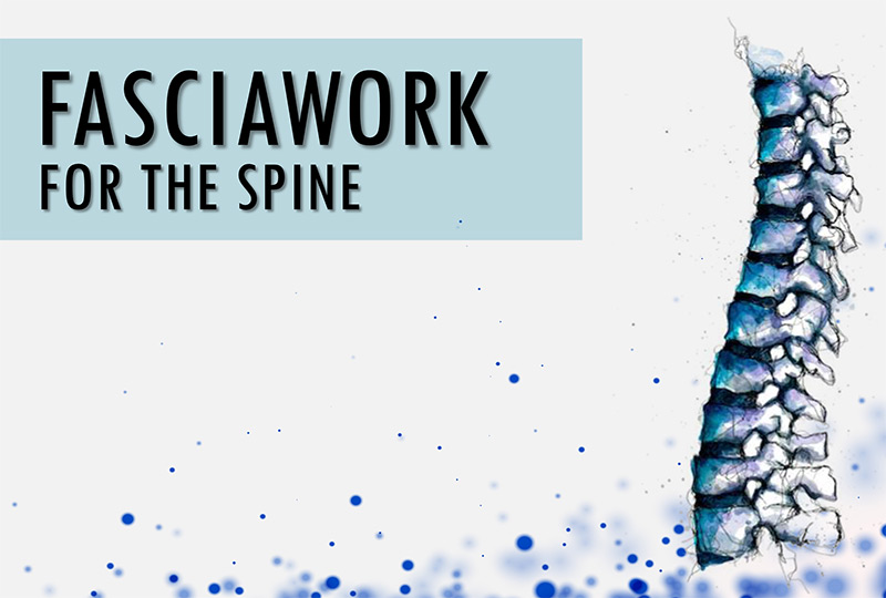 Fasciawork for the spine